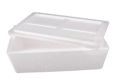 Styrofoam Container Cold Chain Packaging 11.8"X9.8"X8.5" Organic Pcm
