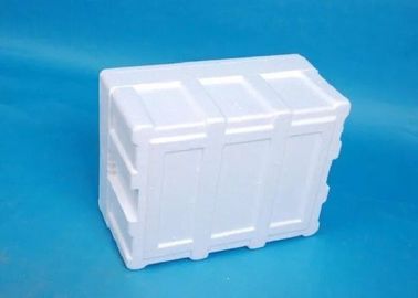 Leichte Kühlkette temperaturgeregeltes Verpacken17